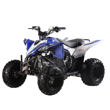 Mikilon Квадроцикл Mikilon Pentora 110L