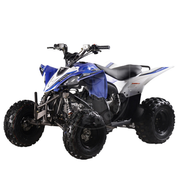 Mikilon Квадроцикл Mikilon Pentora 110L