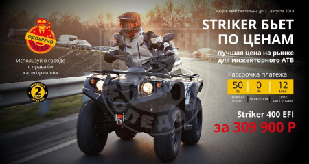 Квадрицилы Striker Квадроцикл Baltmotors Striker 200 EFI инжектор