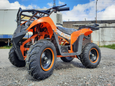 SSSR Электроквадроцикл SSSR PUNK 800W