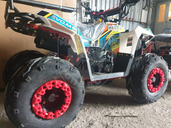 WELS Квадроцикл WELS THUNDER EVO M 110 r