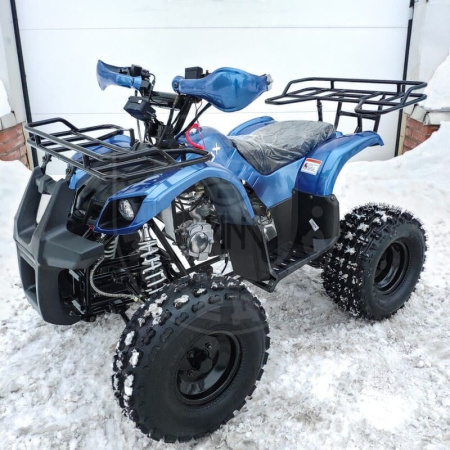 Motoland Комплект запчастей Motoland FOX ATV 125U синий купить в Мопедофф www.9814555.ru
