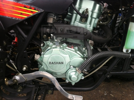 BASHAN Квадроцикл BASHAN BS250 black