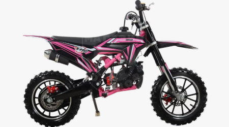 Gokartsusa  Kids Gas Dirt bike 50cc purple