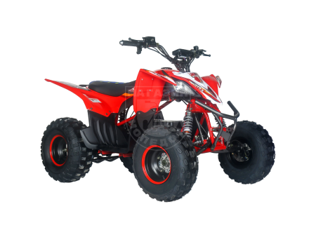 MOTAX Квадроцикл Motax E-PENTORA 1500W  красный