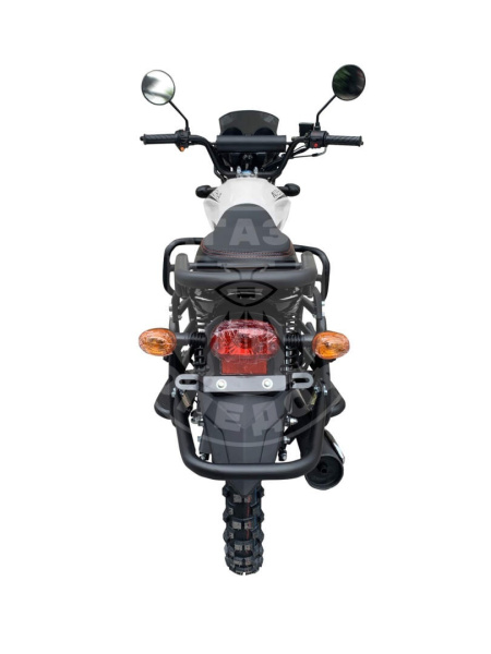 Motoland Мопед Motoland Альфа RT Forester 11 black 18/18