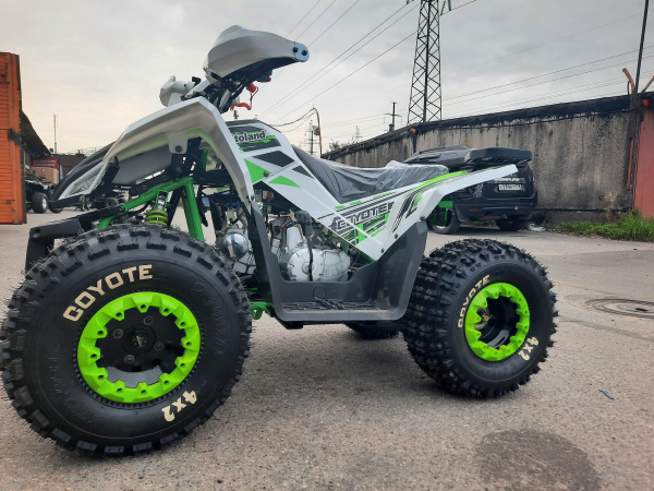 Комплект запчастей Motoland COYOTE 125 купить в Мопедофф 88005508293 - звонок бесплатный.