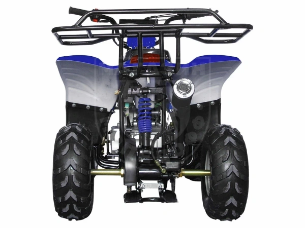 AVANTIS квадроцикл Avantis Termit Junior 110сс 4т (110 кубов) (синий)