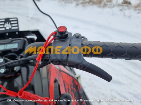 IRBIS MOTORS Снегоход IRBIS SF200L red