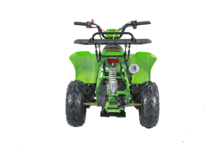 Детские Квадроцикл Tao Motor 110 Rock Green