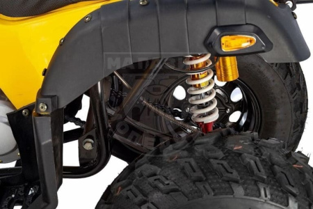 RAPTOR Квадроцикл RAPTOR MAX PRO 250 (жёлтый)