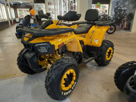 Motoland Комплект запчастей Motoland WILD TRACK X  200 купить в Мопедофф www.9814555.ru