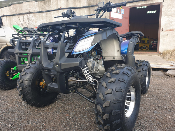 Квадроцикл MM 125LD chameleon в интернет - магазине МОПЕДОФФ.