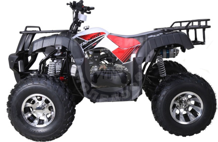 TAO motors Квадроцикл TAO BULL 200 красный