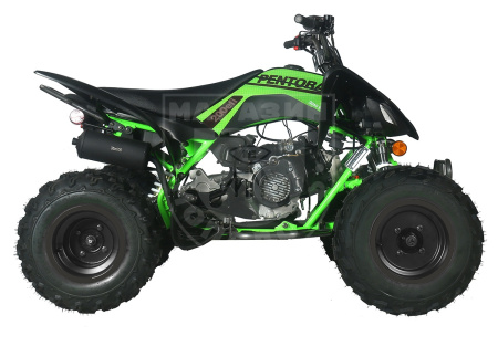 Apollo Квадроцикл Apollo PENTORA 200 EFI  зелёный