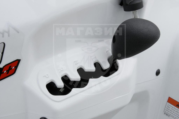Квадрициклы Jumbo Квадрицикл BaltMotors Jumbo 250 MAX Basic EFI