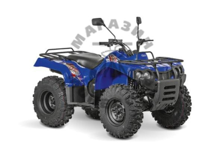 Квадрицилы Striker Квадроцикл Baltmotors ATV 200 EFI 200сс 2т