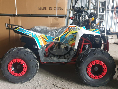 WELS Квадроцикл WELS THUNDER EVO M 110 r
