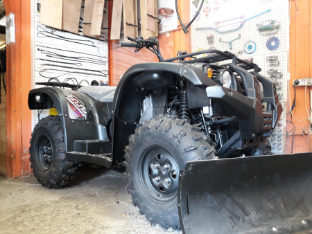 Квадрицилы Striker Квадроцикл Baltmotors Striker 200 EFI инжектор