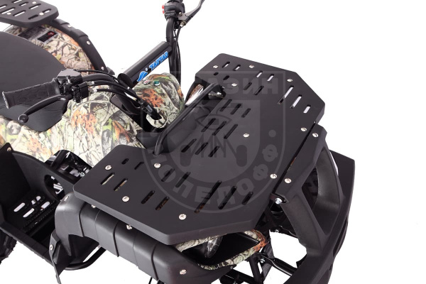TAO motors Квадроцикл TAO RHINO 250 графити