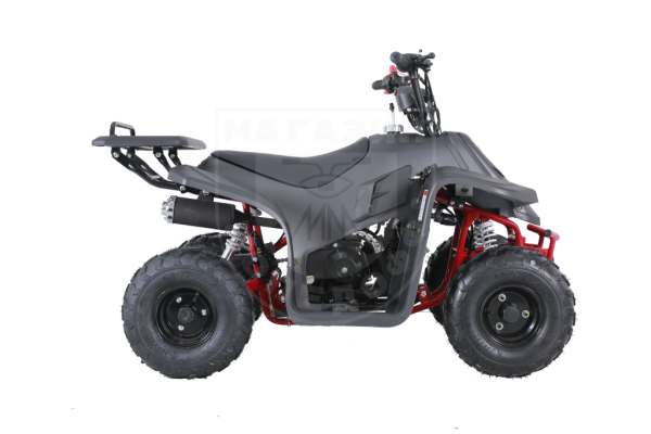 Детские Квадроцикл Tao Motor 110 Rock Blak matte