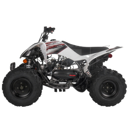 Mikilon Квадроцикл Mikilon Pentora 125L