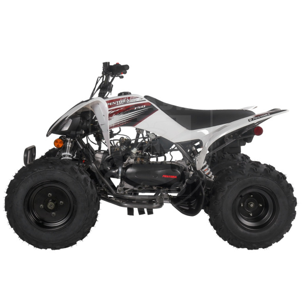 Mikilon Квадроцикл Mikilon Pentora 125L