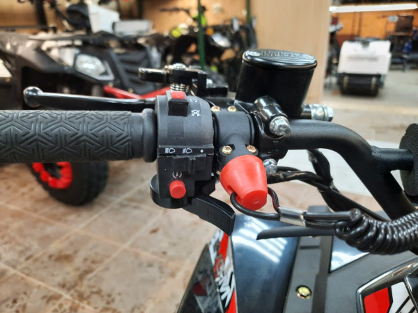 WELS Квадроцикл WELS THUNDER EVO M 110 r