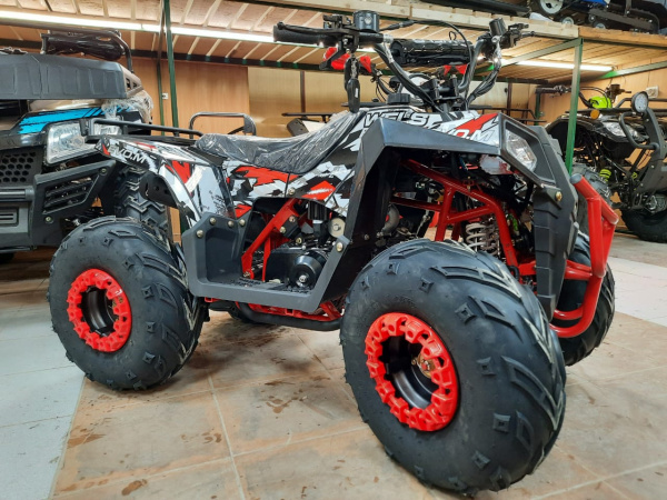 WELS Квадроцикл WELS THUNDER EVO M 110 r