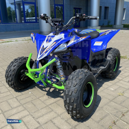 Rmoto Квадроцикл Rmoto PENTORA 1000W синий