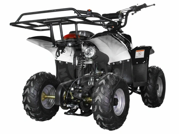 AVANTIS квадроцикл Avantis Termit Junior 110сс 4т (110 кубов) (чёрный)