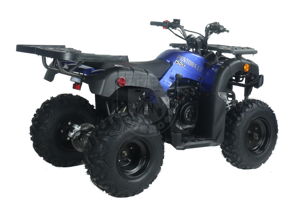 Apollo Квадроцикл Apollo PENTORA 150 UT AUTO W / R синий