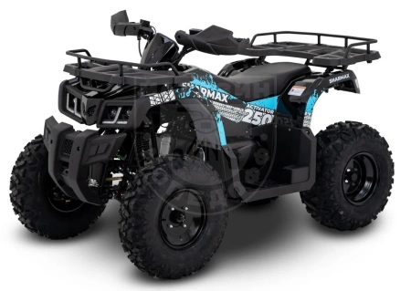 Motoland Квадроцикл MOTOLAND ATV 300 MAX X синий купить в Мопедофф www.9814555.ru