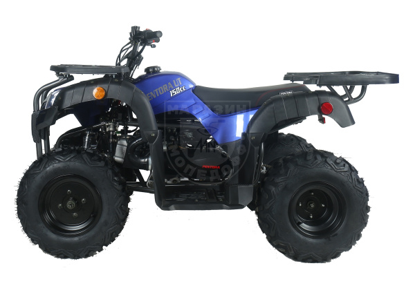 Apollo Квадроцикл Apollo PENTORA 150 UT AUTO W / R синий